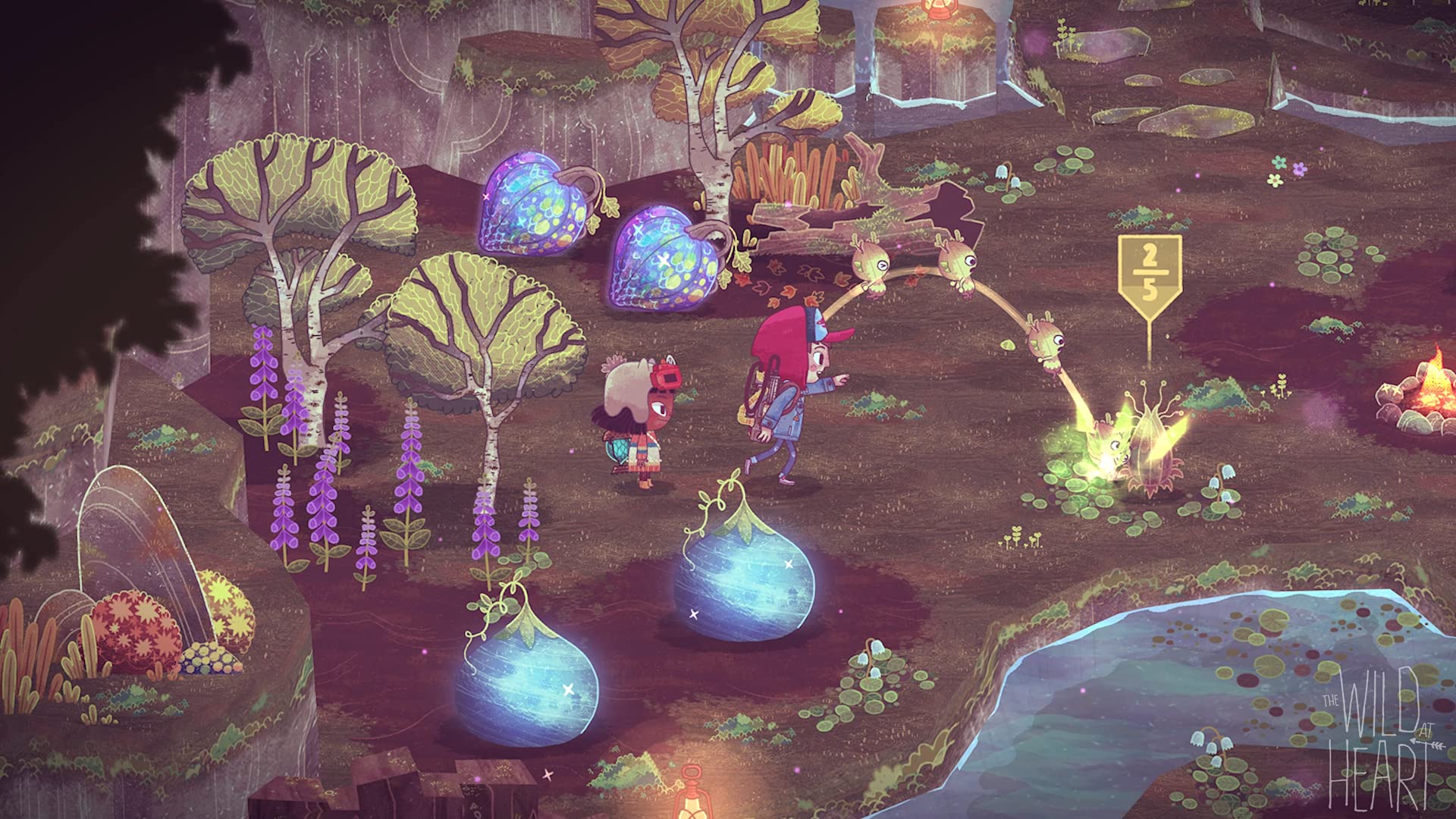 Amazon.com: The Wild at Heart - Nintendo Switch : Everything